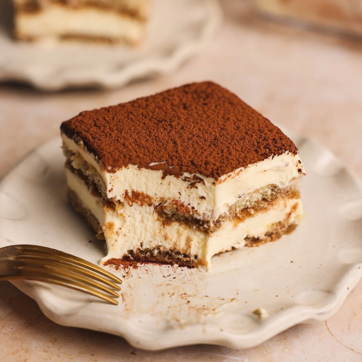 Tiramisu on a plate